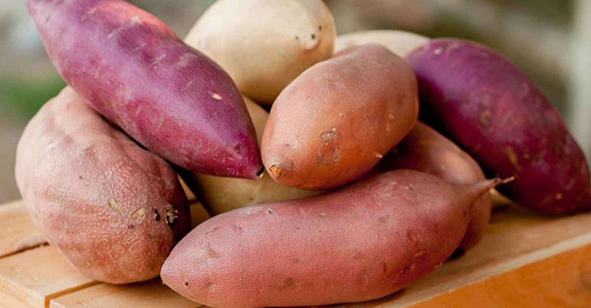 A.V. Thomas Produce Sweet Potatoes